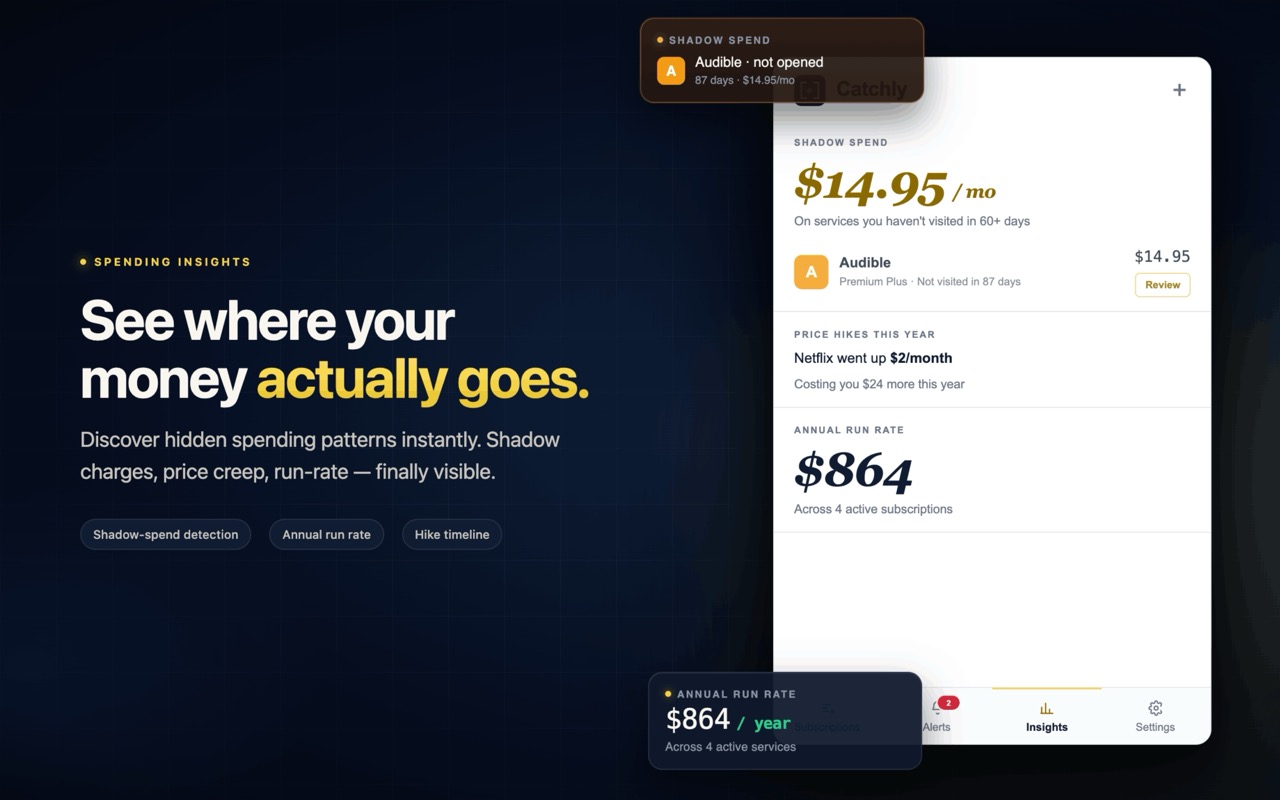 Insights pane showing spend by category and yearly recap